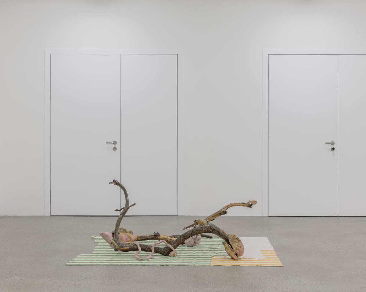 Yun Choi, <em>Psychics B</em>, glazed ceramics, branches, argile, tissus, 2023, photo : Théo Dufloo.